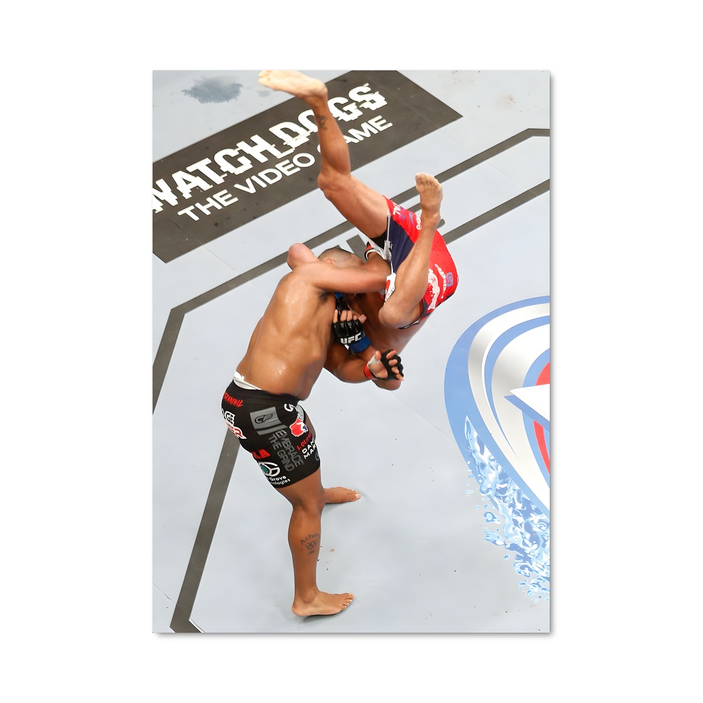 Poster Dan de henderson – affiche MMA